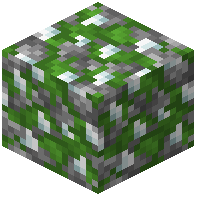 White Tulip Mossy Cobblestone