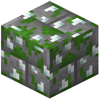 White Tulip Mossy Stone Brick