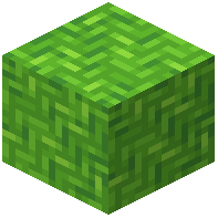 Lime Cloud Cotton