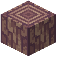 Stripped Beech Log