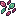 Floral Essence