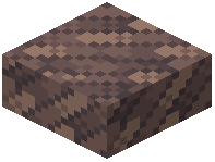 Gneiss Slab