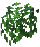 Hedge