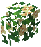 Dandelion Hedge