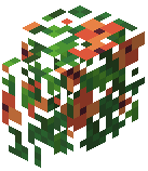 Poppy Hedge