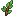 Herb