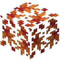 Orange Autumn Leaves