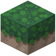 Overgrown Stone