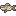 Fish Bones