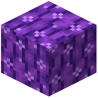 Purple Curtain