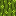 Thin Cactus Curtain