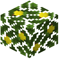 Lemon Leaves