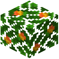 Mango Leaves