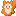 Orange Fox Cookie
