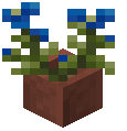 Potted Commelina