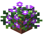 Potted Purple Geranium