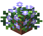 Potted Purplish Geranium