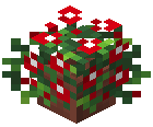 Potted Red Geranium