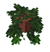 Potted Ivy