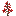 Red Maple Sapling
