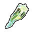 Bug Tera Shard