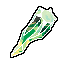 Grass Tera Shard