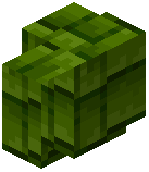 Green Shingles Wall