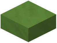 Lime Marble Slab
