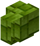Lime Shingles Wall