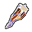 Rock Tera Shard
