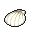 Tropical Shell