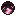 Desert Plagues Focus
