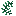 Seaweed
