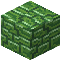 Verdite bricks