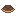 Tortoise Scute