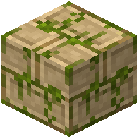 Mossy Yi Ti Bricks