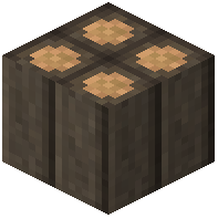 Wood Beam Beech