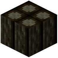 Wood Beam Rotten