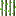 Leaf Stone Cane (Cobblemon)