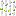 Salt Reed