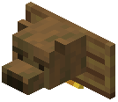 Bear Trophy