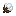 Cotton