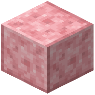 Polished Salt Block