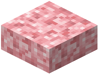 Salt Slab