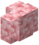 Salt Wall