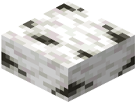 Heavy Birch Log Slab