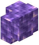 Reinforced Amethyst Block Glass Wall