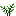 Fresh Bay Leaf