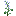 Fresh Sage