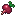 Radish